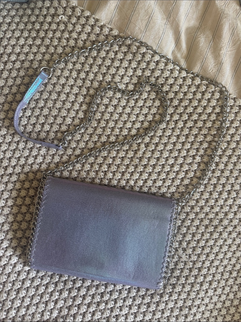 Iridescent Silver Chain Purse / Clutch